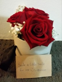 Valentine's Day Roses